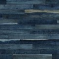 BLUEJEAN 1