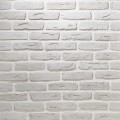 ANTİK-2902_10023 1