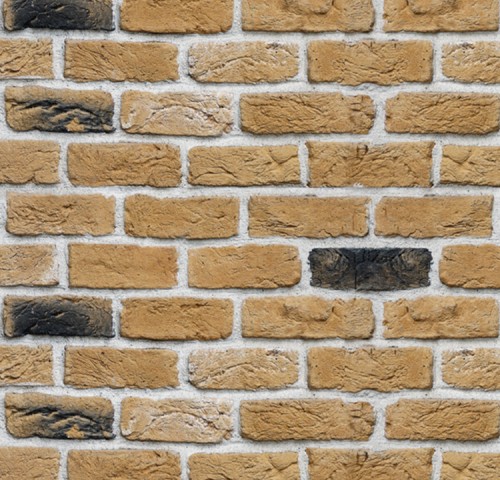 TOWN BRICK COAL IN DESERT